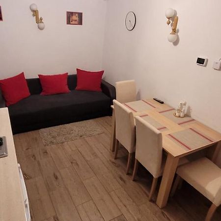 Apartament Miruna Sibiu Filarmonicii Екстериор снимка